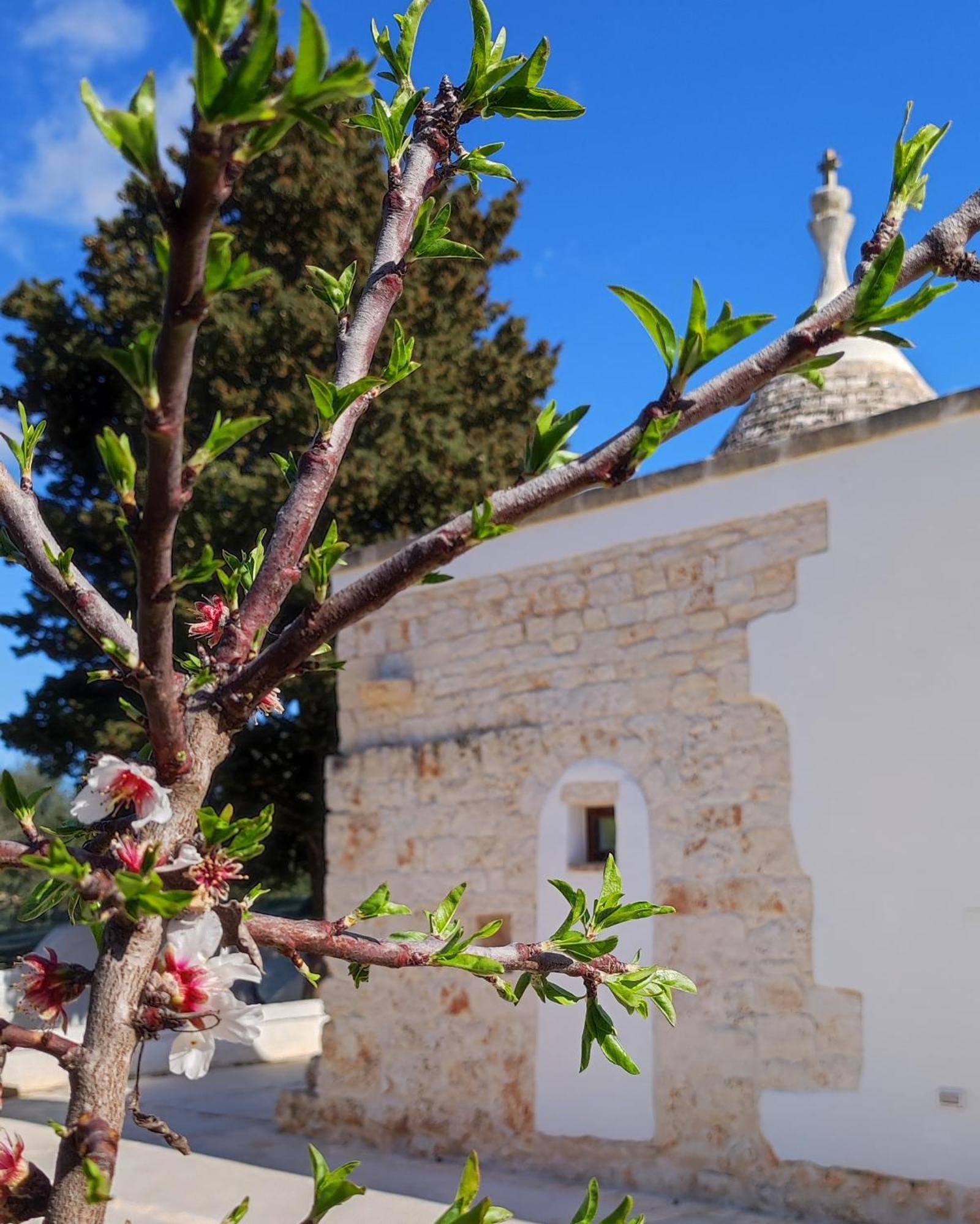 Trullo Zurlo Villa Ostuni Luaran gambar