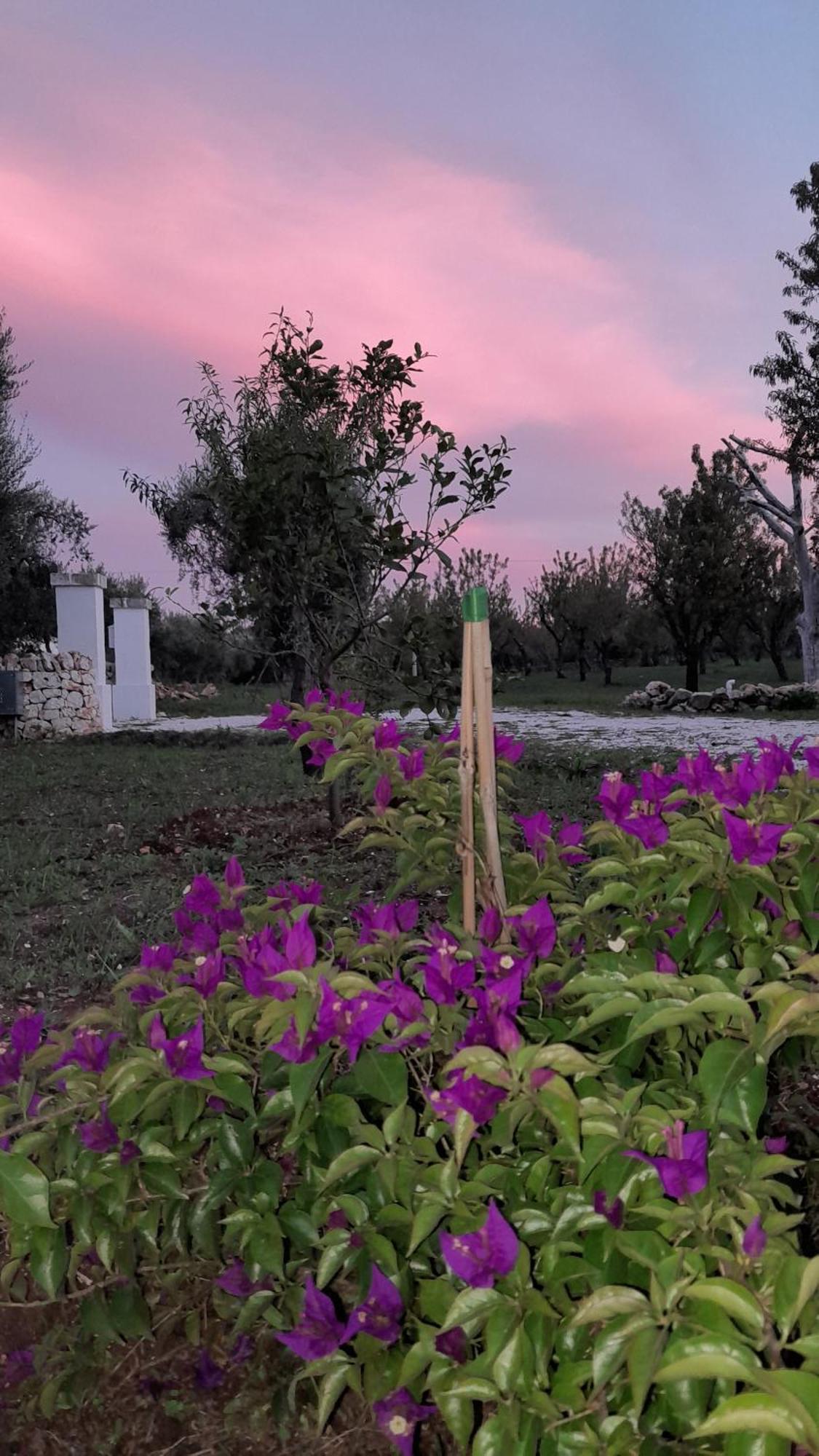 Trullo Zurlo Villa Ostuni Luaran gambar
